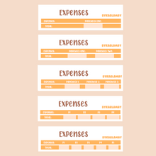 Load image into Gallery viewer, Z 2023 August Expenses | Saving Challenge | Sinking Funds P1-P5
